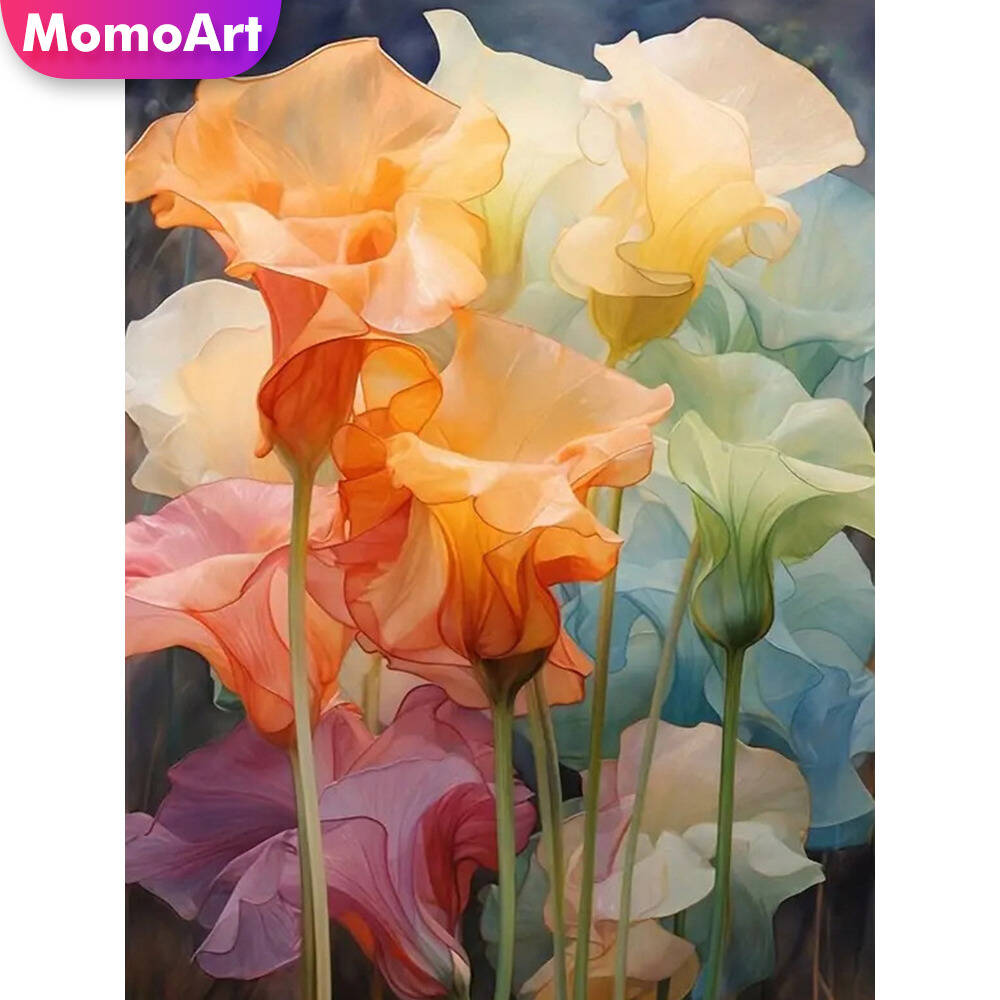 Momoart Full Square Round Diam - مراجعة Art Craft Hobbies وسعره