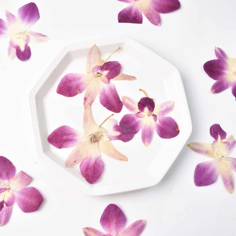 4pcs,Real Pressed Butterfly Or - مراجعة Art And Craft Photos وسعره