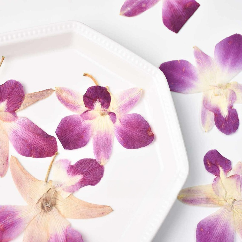 4pcs,Real Pressed Butterfly Or - مراجعة Art And Craft Photos وسعره