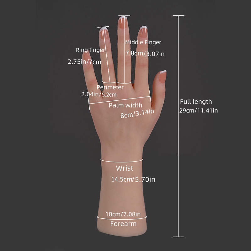 Realistic Silicone Replica of  - مراجعة Art Craft Display وسعره