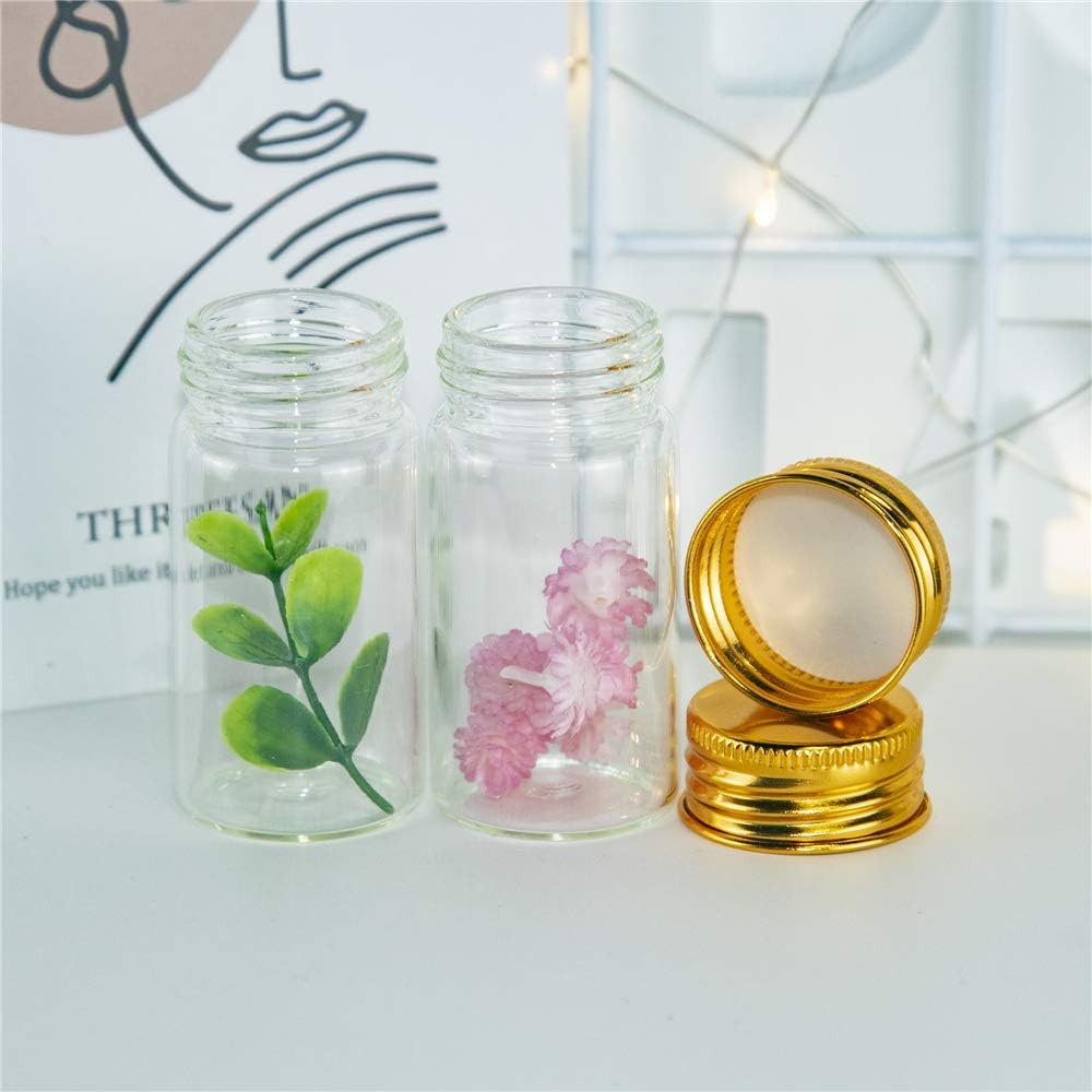 50PCS 5ML-100ML Mini Glass Tes - مراجعة Art Craft Youtube وسعره