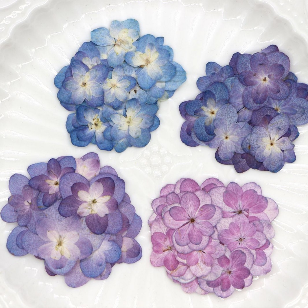 60Pcs Mini Double-Flowered Hyd - مراجعة Art And Craft Photos وسعره