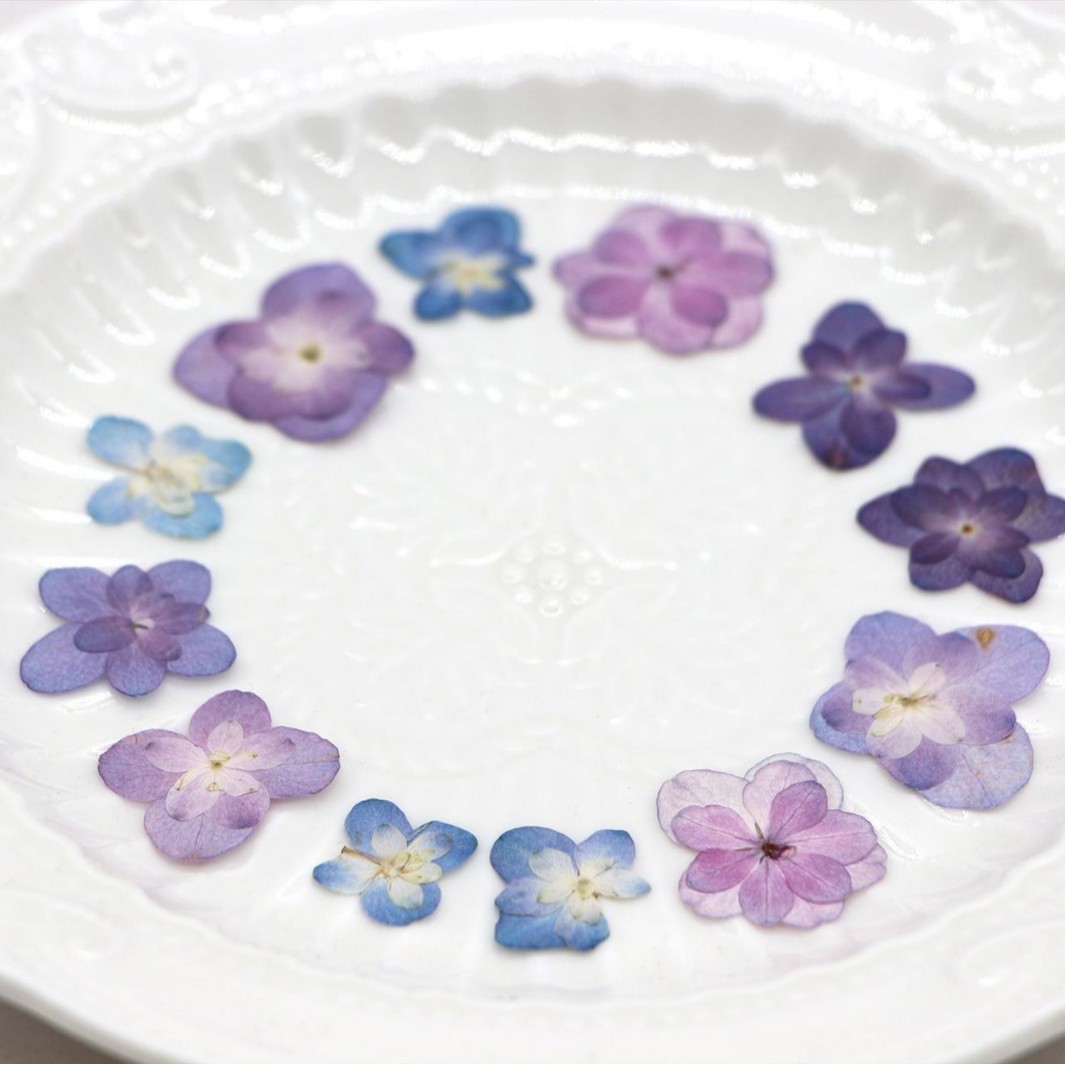 60Pcs Mini Double-Flowered Hyd - مراجعة Art And Craft Photos وسعره