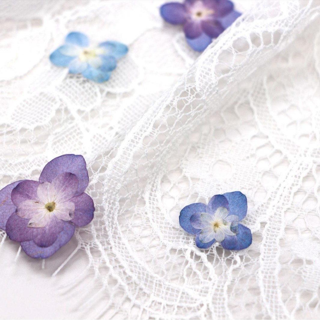 60Pcs Mini Double-Flowered Hyd - مراجعة Art And Craft Photos وسعره