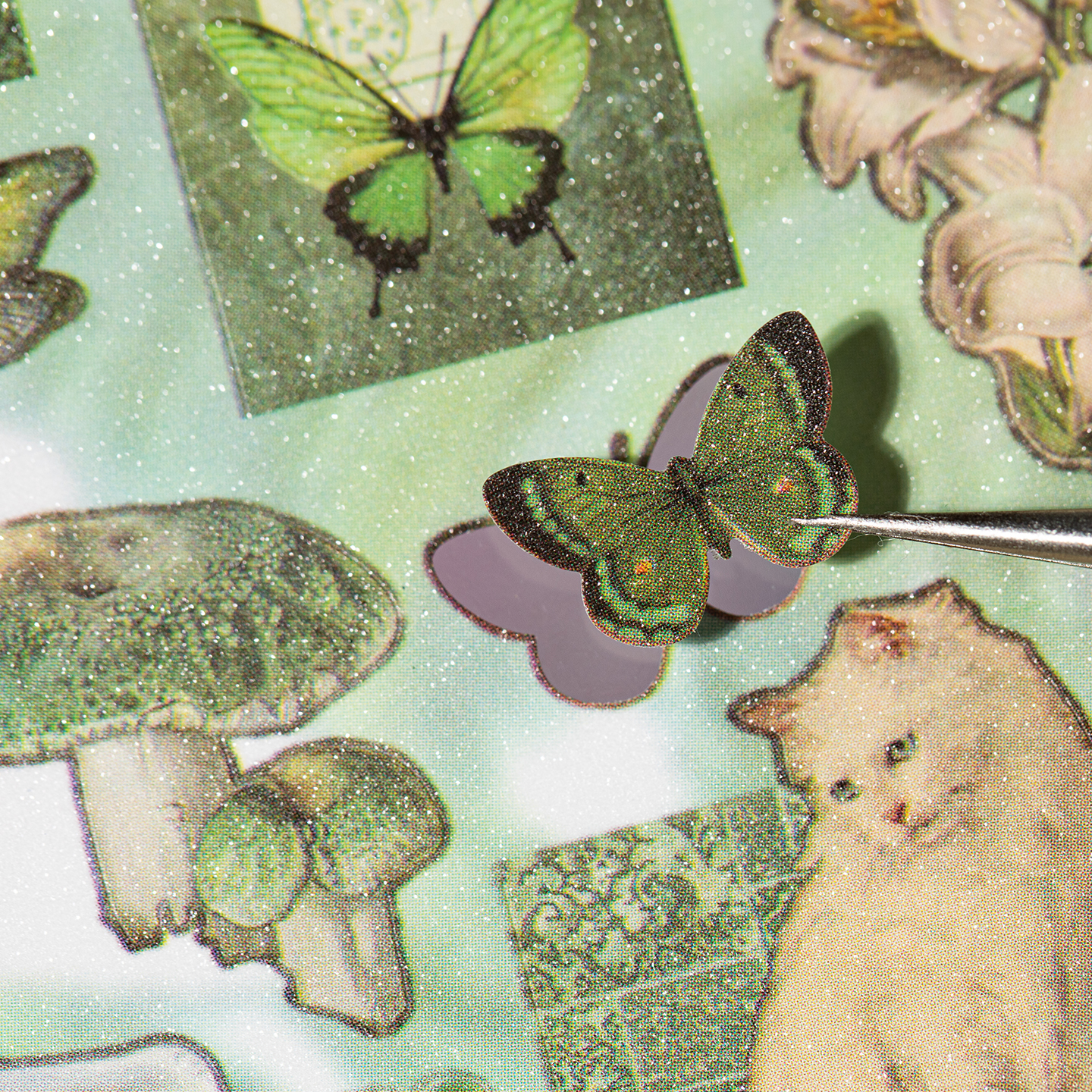 30/60 Sheets Cute PET Die cut  - مراجعة Art Craft Toddler وسعره