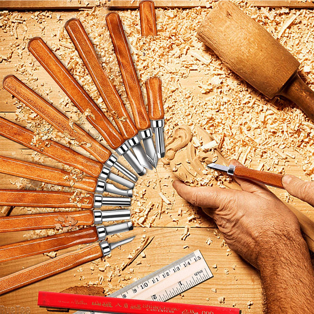 12Pcs SK2 Woodworking Carving  - مراجعة Craft Art Set وسعره